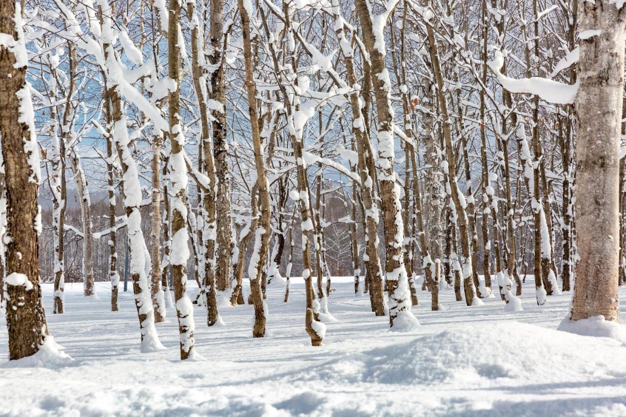 Andaru Collection Niseko 호텔 큐찬 외부 사진