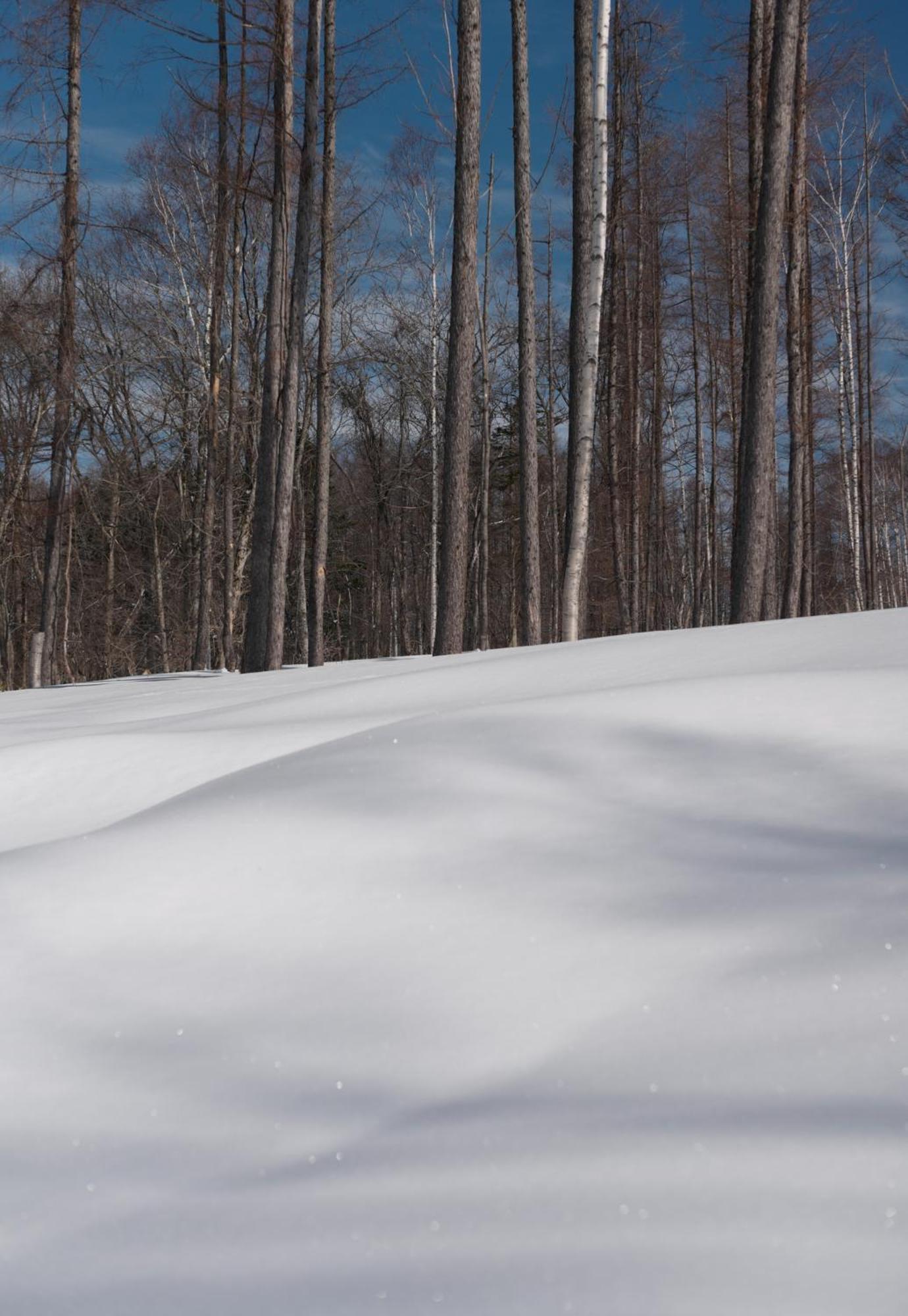 Andaru Collection Niseko 호텔 큐찬 외부 사진
